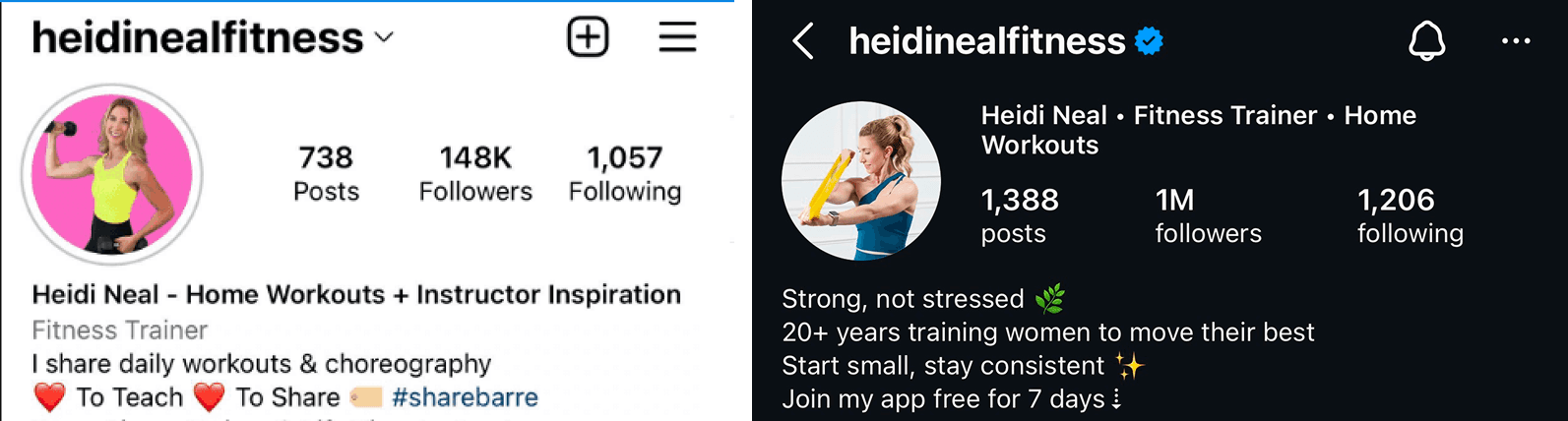 @heidinealfitness Instagram profile before and after: 148K → 1M followers